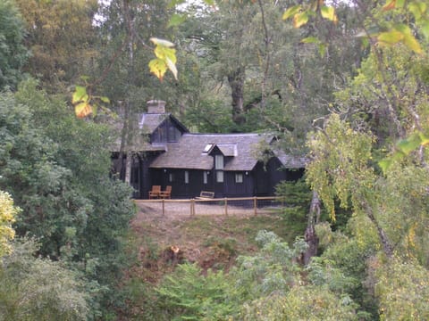 Tree, Wood, House, Cottage, Home, Rural Area, Forest, Woodland, Village