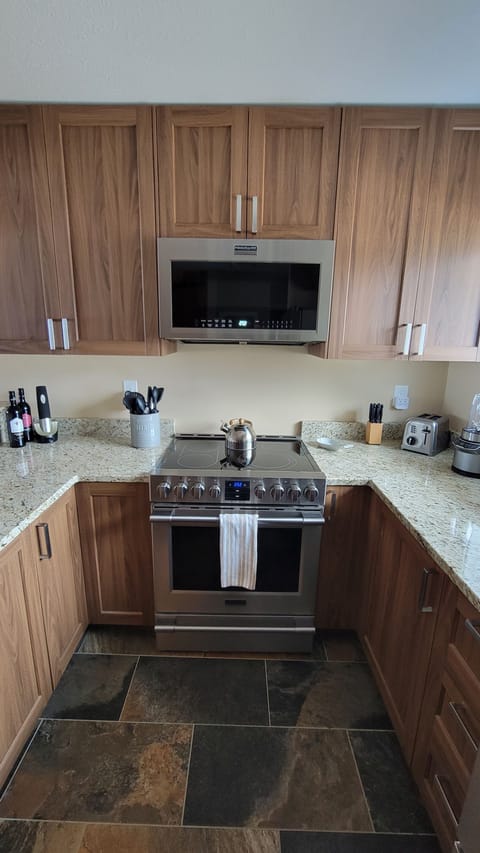 Premium Pro Stainless Steel Appliances with Brand New Cabinetry