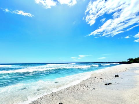 Kohanaiki Beach (Pine Tree Beach)