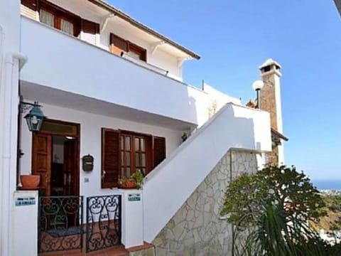 Wood Stain, Houseplant