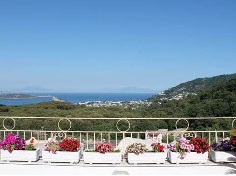 Wood Stain, Houseplant