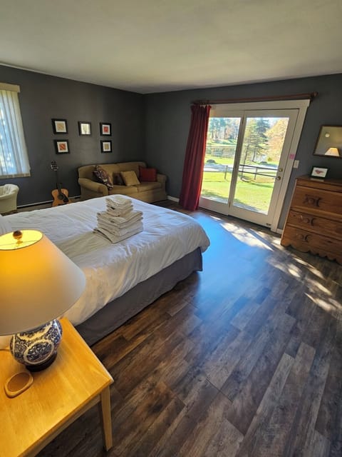 Bed room- queen bed and a sofa bed