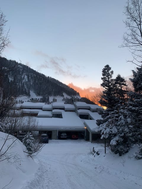 The condo complex in winter