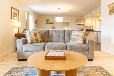 Queen-Size Sofa Bed