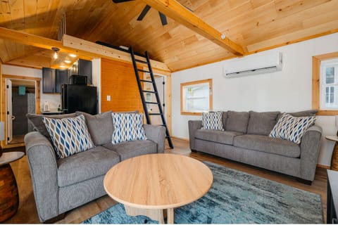 Bright and airy space with stylish sofas, a chic coffee table, and vaulted ceilings!