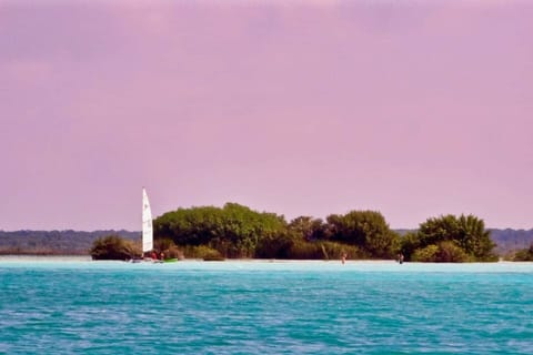 Come, sail away.