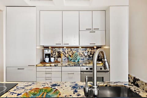 Fully equipped modern stylish kitchen with dishwasher, stove, oven, microwave and refrigerator