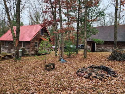 Backyard with firepit