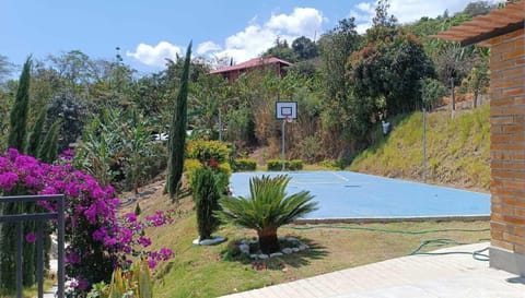 Sport court