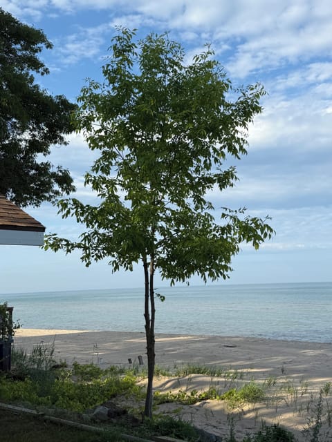 Image picker 7A646B13 F2C3 43A3 BB03 3941B71477AF 58604 000009F05AD75BDD