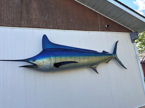 Image picker 456847D2 15F7 4B66 A186 457509241747 26008 00000437CCED09D0