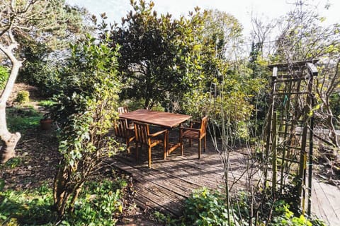 Terrace in the garden