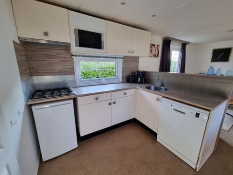 Blue, Chair, Outdoor Furniture, Design, Shade, Outdoor Table, Eco Hotel, Patio, Houseplant, Daylighting