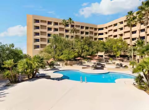 Dive into sunlit serenity with palms and spacious loungers.