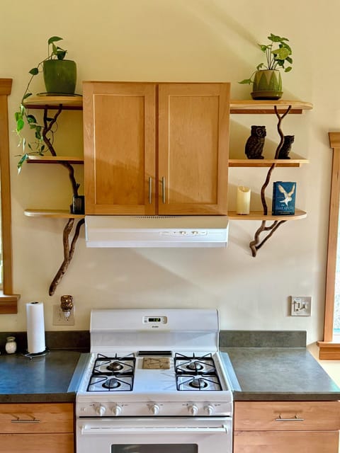 Lots of cupboards, propane stove, exhaust fan vented to outside, unique shelving