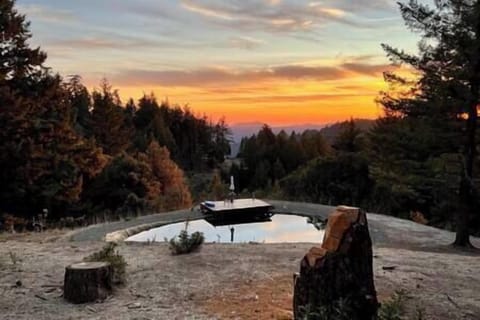 2f530686 d7ad 4575 8f6d 30fed5ef5a1b