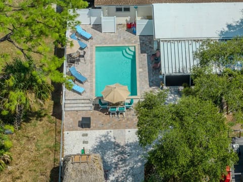 Aerial View of the Pool in the backyard.