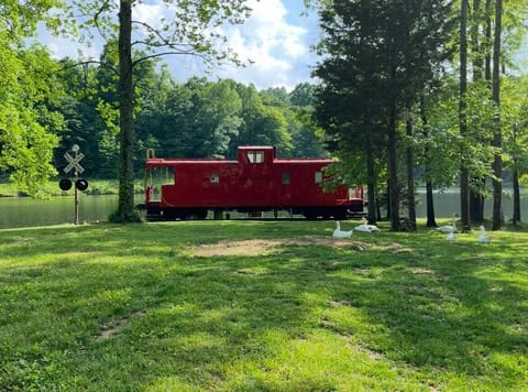 front yard, (sidewalk has been added from parking to the stairs, not pictured)