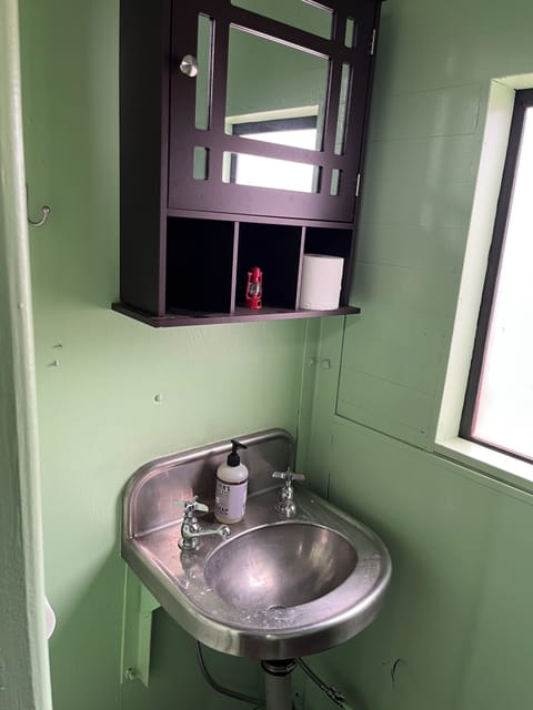 sink is original before renovation