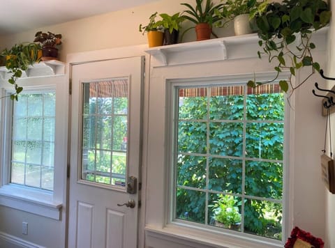 Backdoor with lots of plants.