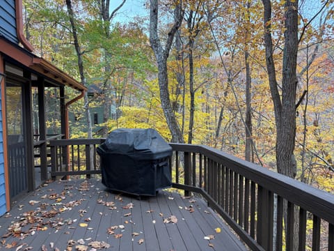back deck off main level showing gas grill and screened porch