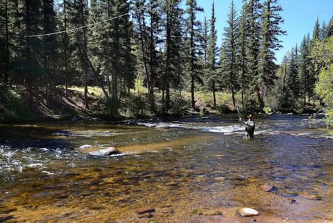 Taylor River Fly Fishing