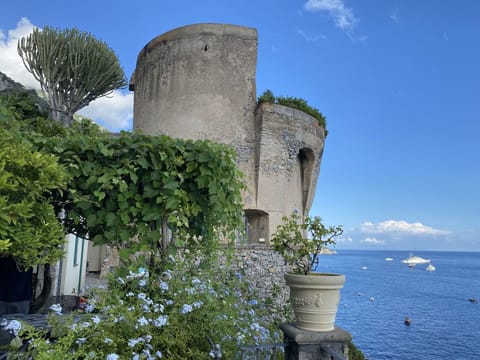 Autumn, Scenic View, Spring, Summer