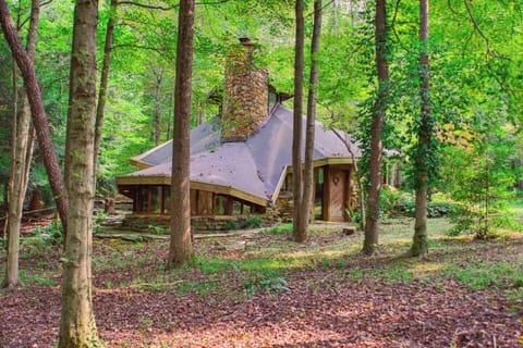 View from woods-living room is lower roof in foreground, kitchen and bedroom towards the back