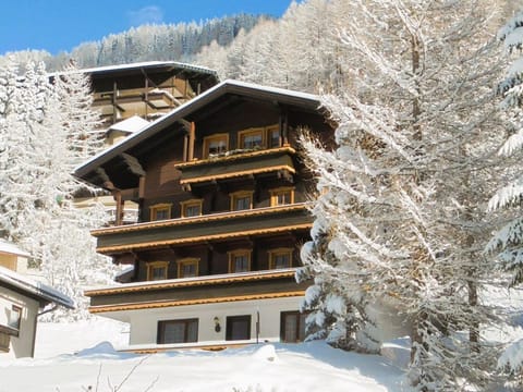 Ferienhaus Unterkircher-Wallner - apartment/apartment, shower or bath, WC, 2 Apartment in Carinthia, Austria