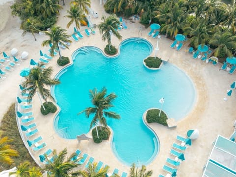 Surrounded by lush palms, this resort-style pool offers a serene tropical escape with inviting lounge areas to soak in the sun.