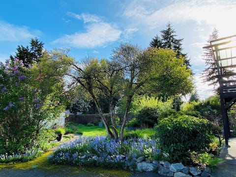 Our little garden in Spring