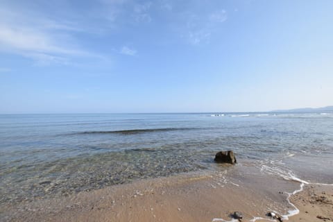 Autumn, Building Exterior, Spring, Summer