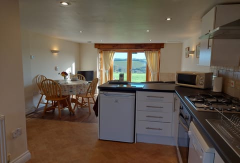 Little Owl, Newquay: The kitchen, dining and sitting area blends seamlessly