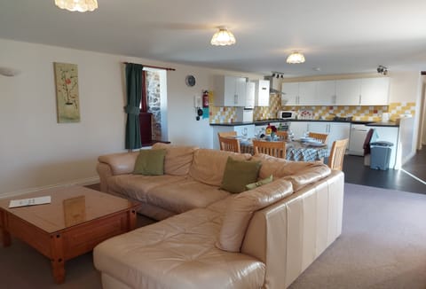 Tawny Owl, Newquay: The spacious open-plan layout includes a well-equipped kitchen, a comfortable sitting area, and a dining space.