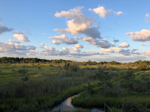 PropertyImg1
