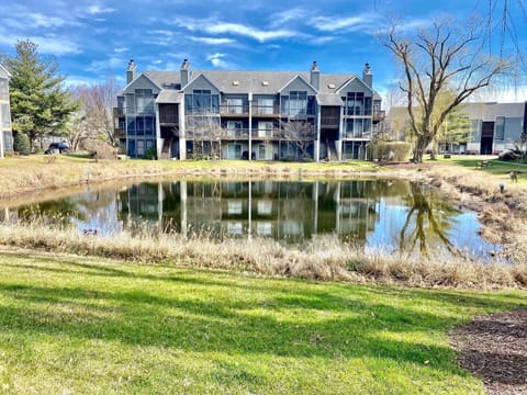 PropertyImg1