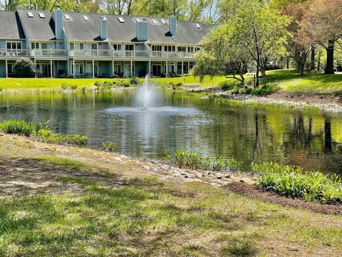 PropertyImg1