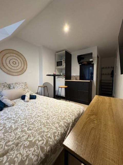 studio-bien-équipé-canapé-lit