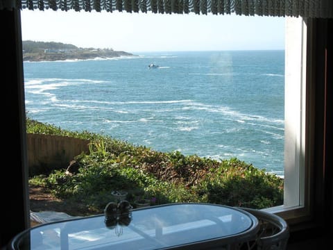 An-Ocean-Paradise-Whales-Rendezvous-B26B-0162B8-1920w