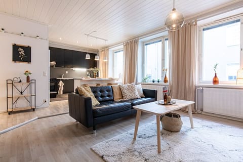 Apartment living room with sofa and open-concept kitchen
