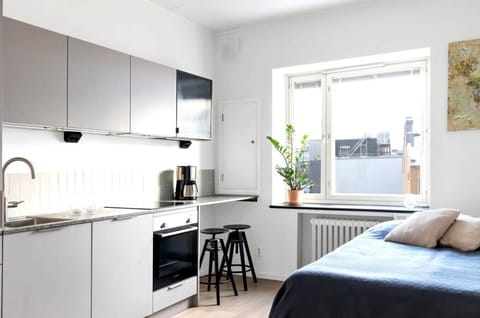 Studio apartment living room and kitchen