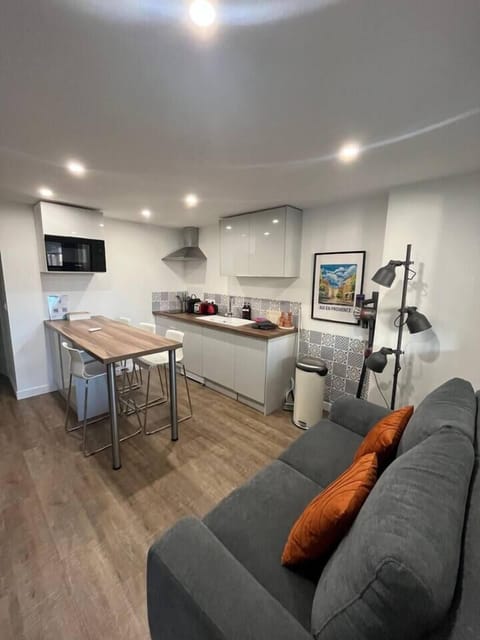 kitchen 2, sofa, vacuum, dining table, microwave (1)