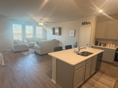 Kitchen and Living Area