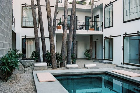 Cool off in the tranquil courtyard pool beneath palms.