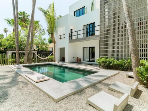 Dive into a private oasis framed by palms and crisp design.