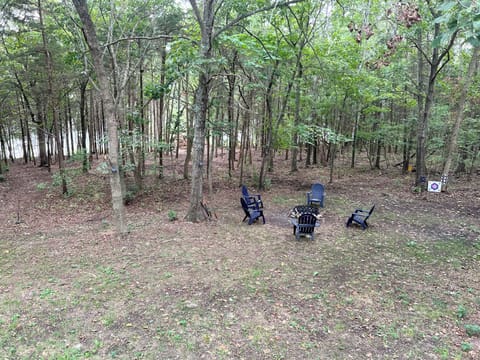 Backyard. Short walk down path to water