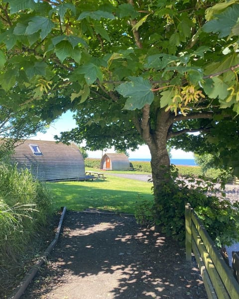 Pathway to Sacramento 