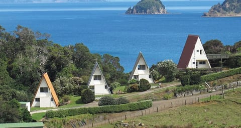 Aroha A-Frames Coromandel (1)