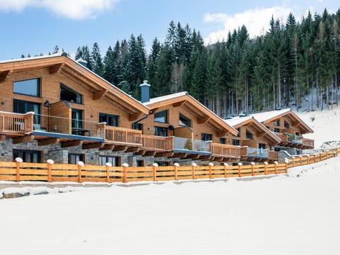 Holiday Home Exterior [winter]