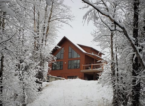 cabin in winter